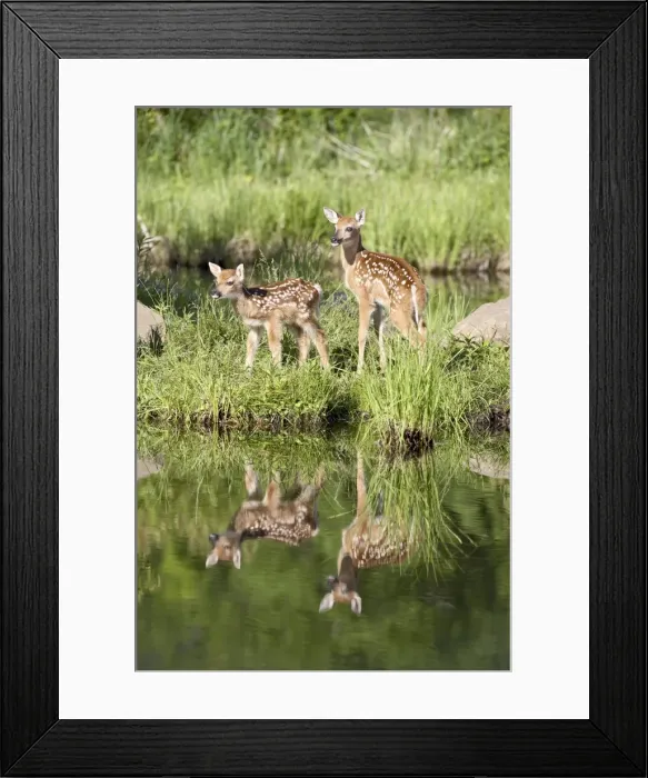 Framed Print : 27506_work Framed Print : 27506_work