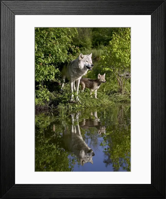 Framed Print : 27550_work Framed Print : 27550_work