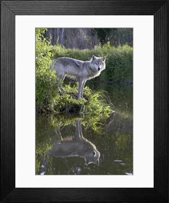 Framed Print : 27557_work Framed Print : 27557_work