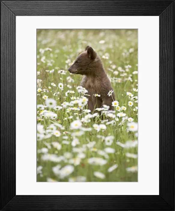 Framed Print : 27563_work_crop46 Framed Print : 27563_work_crop46