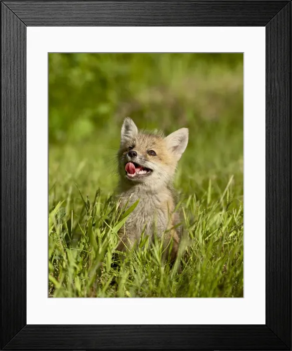 Framed Print : 27630_work_crop2 Framed Print : 27630_work_crop2