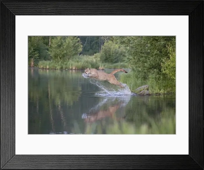 Framed Print : 27646_work Framed Print : 27646_work