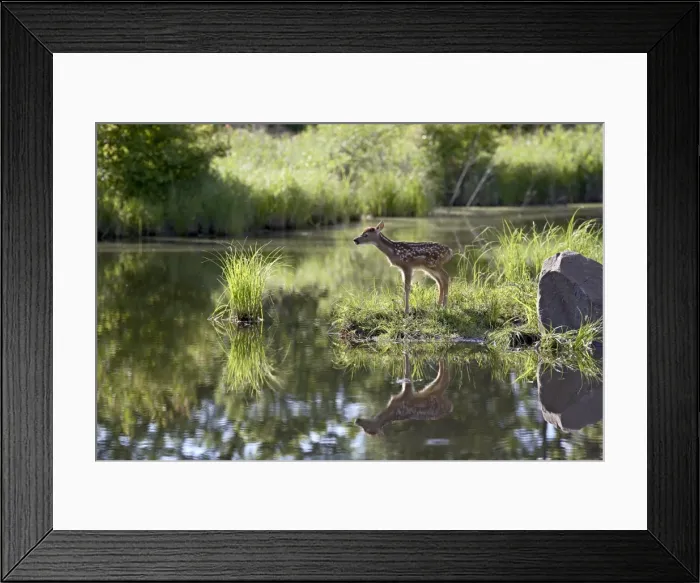 Framed Print : 27507_work Framed Print : 27507_work