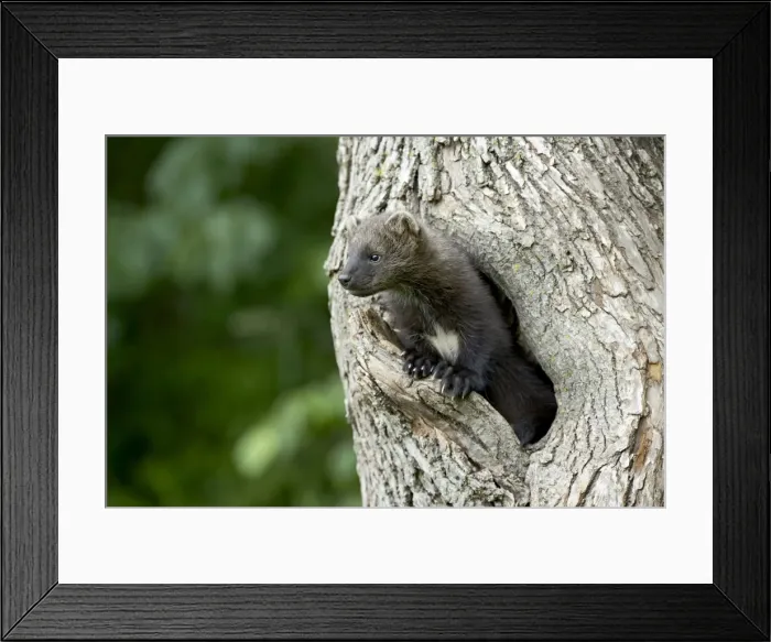 Framed Print : 27434_work Framed Print : 27434_work