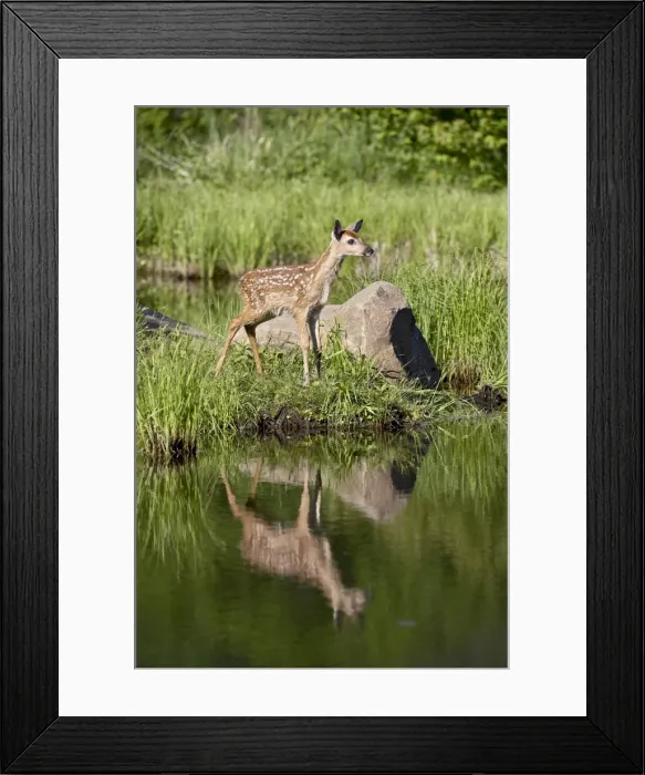 Framed Print : 27509_work Framed Print : 27509_work