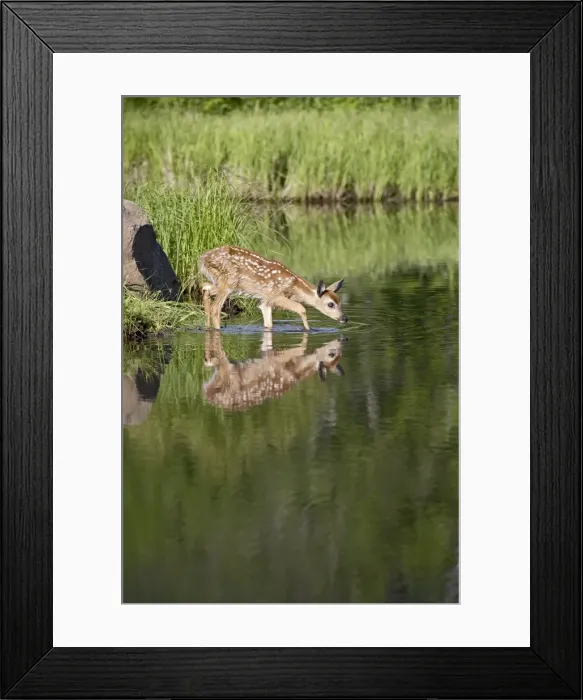 Framed Print : 27511_work Framed Print : 27511_work