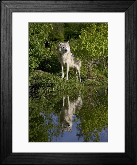 Framed Print : 27551_work Framed Print : 27551_work
