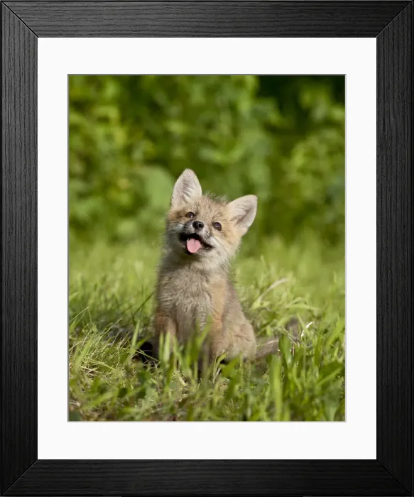 Framed Print : 27631_work_crop Framed Print : 27631_work_crop