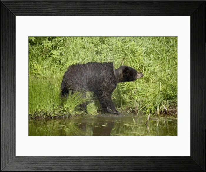 Framed Print : 27680_work Framed Print : 27680_work