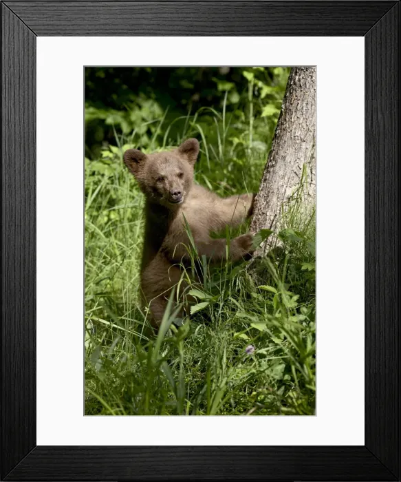 Framed Print : 27691_work Framed Print : 27691_work