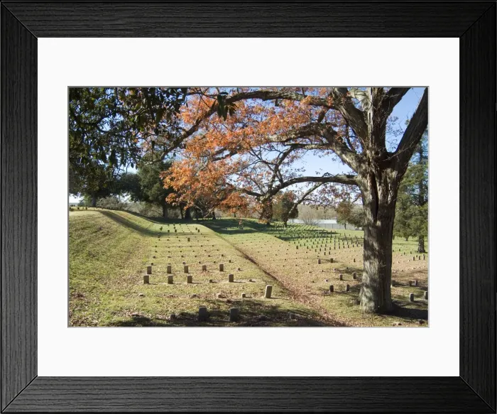 Framed Print : National Cemetery Framed Print : National Cemetery