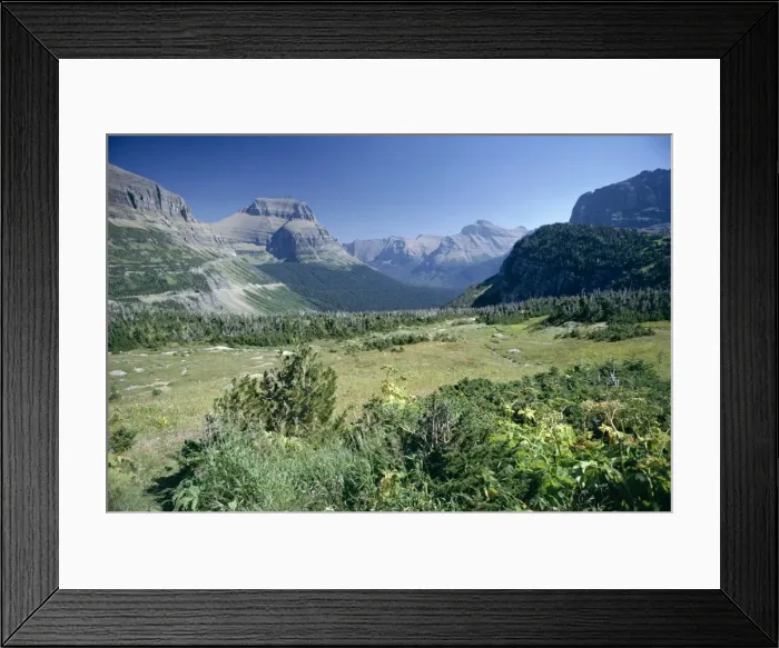 Framed Print : View east from Logan Pass Framed Print : View east from Logan Pass