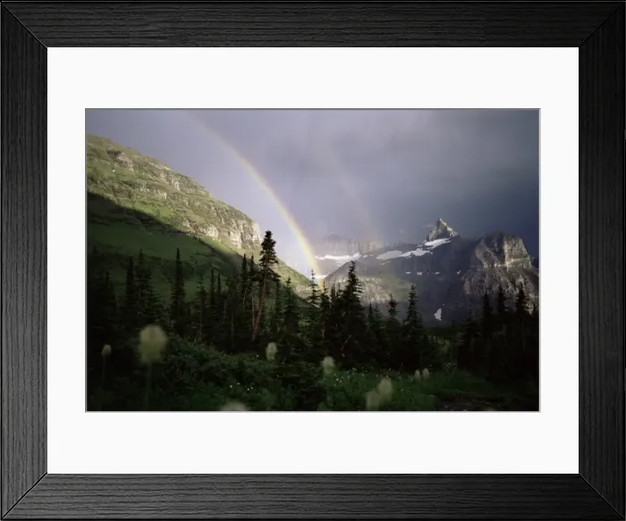 Framed Print : Double rainbow with bear grass in foreground Framed Print : Double rainbow with bear grass in foreground