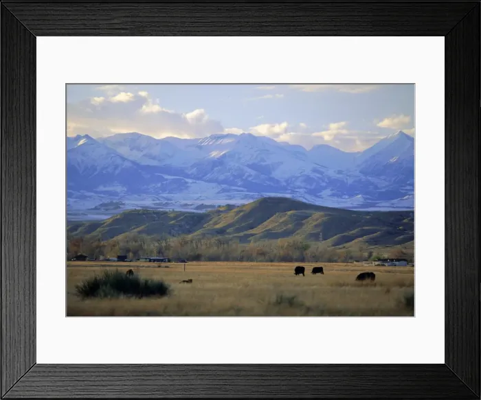 Framed Print : Looking west towards the Rocky Mountains from Big Timber Framed Print : Looking west towards the Rocky Mountains from Big Timber