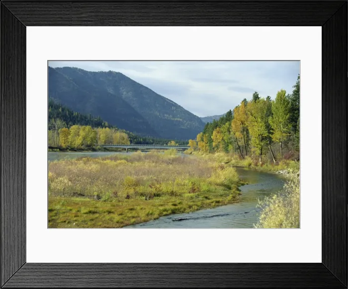 Framed Print : The Clark Fork River in the fall Framed Print : The Clark Fork River in the fall