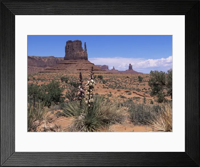 Framed Print : Monument Valley, Utah, United States of America (U Framed Print : Monument Valley, Utah, United States of America (U