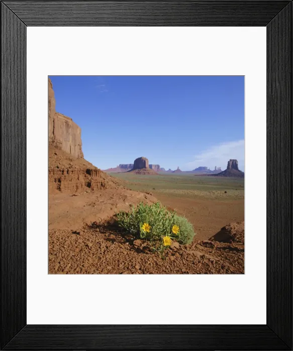Framed Print : Monument Valley Framed Print : Monument Valley