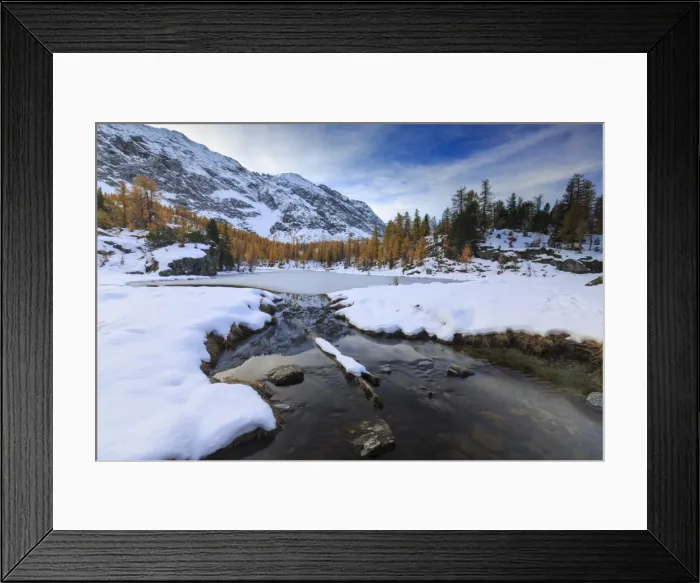 Framed Print : Frozen Lake Mufule framed by larches and snow in autumn, Malenco Valley, Province of Sondrio Framed Print : Frozen Lake Mufule framed by larches and snow in autumn, Malenco Valley, Province of Sondrio