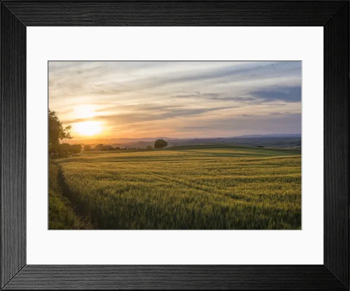 Framed Print : Meadows at sunset, Val d Orcia (Orcia Valley), UNESCO World Heritage Site, Tuscany Framed Print : Meadows at sunset, Val d Orcia (Orcia Valley), UNESCO World Heritage Site, Tuscany