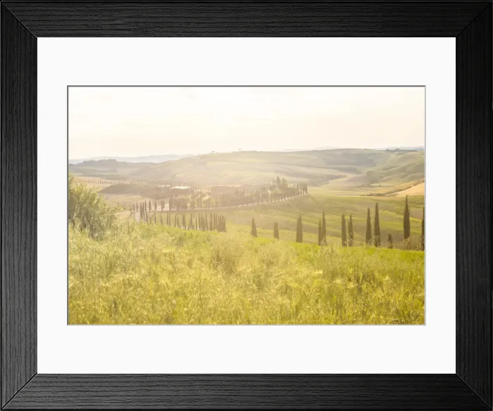 Framed Print : Farmhouse and cypresses, Val d Orcia (Orcia Valley), UNESCO World Heritage Site, Tuscany Framed Print : Farmhouse and cypresses, Val d Orcia (Orcia Valley), UNESCO World Heritage Site, Tuscany