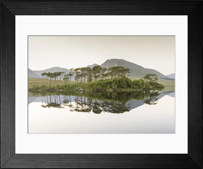 Framed Print : Pine Island on Derryclare Lake, Connemara, County Galway, Connacht province, Republic of Ireland Framed Print : Pine Island on Derryclare Lake, Connemara, County Galway, Connacht province, Republic of Ireland