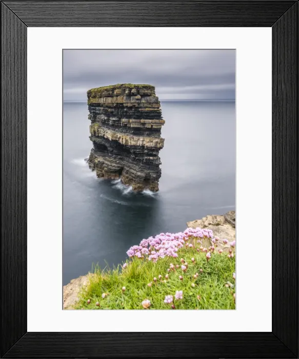 Framed Print : Downpatrick Head with flowers in the foreground, Ballycastle, County Mayo, Connacht province Framed Print : Downpatrick Head with flowers in the foreground, Ballycastle, County Mayo, Connacht province