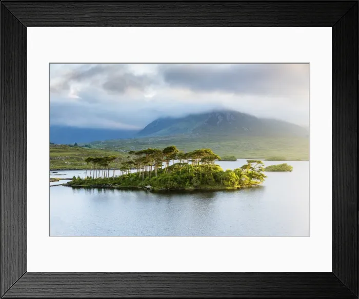 Framed Print : Pine Island on Derryclare Lake, Connemara, County Galway, Connacht province, Republic of Ireland Framed Print : Pine Island on Derryclare Lake, Connemara, County Galway, Connacht province, Republic of Ireland