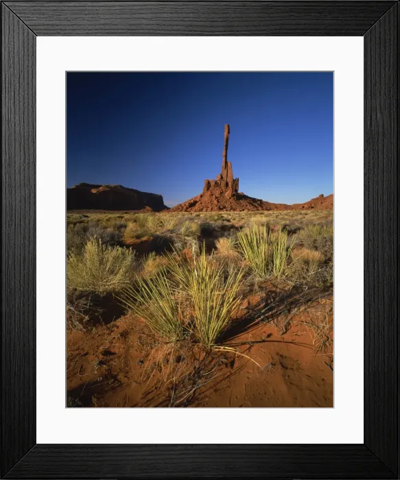 Framed Print : Totem Pole and Sand Springs Framed Print : Totem Pole and Sand Springs