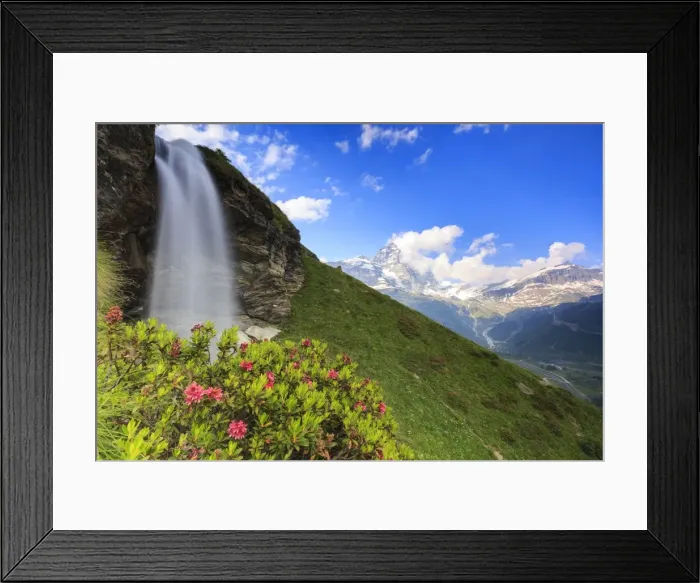 Framed Print : Rhododendron blooms at the foot of a waterfall overlooking the Matterhorn, Cervinia Framed Print : Rhododendron blooms at the foot of a waterfall overlooking the Matterhorn, Cervinia