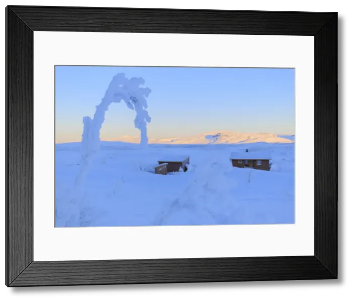 Framed Print : Uninhabited house in the wilds of Swedish Lapland, Riskgransen, Norbottens Ian, Lapland Framed Print : Uninhabited house in the wilds of Swedish Lapland, Riskgransen, Norbottens Ian, Lapland