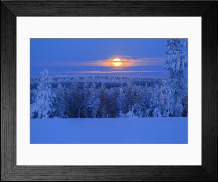 Framed Print : Lunar sunrise over the woods of Lapland, Hukanmaa / Kitkiojoki, Norbottens Ian, Lapland Framed Print : Lunar sunrise over the woods of Lapland, Hukanmaa / Kitkiojoki, Norbottens Ian, Lapland