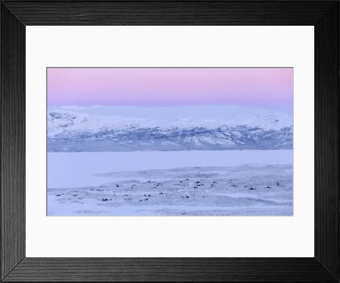 Framed Print : View of Abisko houses, on the banks of Tornetrask Lake, Abisko, Abisko National Park Framed Print : View of Abisko houses, on the banks of Tornetrask Lake, Abisko, Abisko National Park