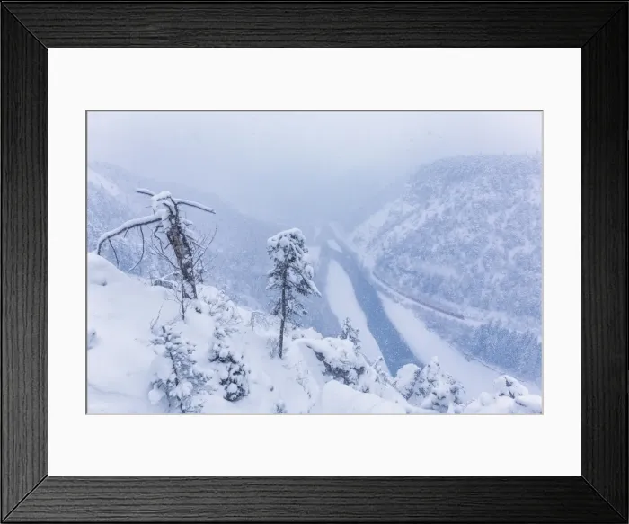 Framed Print : The Red Train travels in the Rhine Valley during a snowstorm, Rhein Gorge, Flims Framed Print : The Red Train travels in the Rhine Valley during a snowstorm, Rhein Gorge, Flims