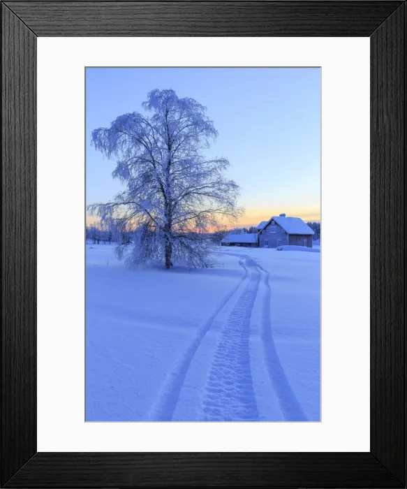 Framed Print : House in the taiga at the border between Sweden and Finland, Hukanmaa / Kitkiojoki Framed Print : House in the taiga at the border between Sweden and Finland, Hukanmaa / Kitkiojoki
