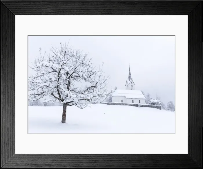 Framed Print : Church of Versam among the snow-laden trees, Versam, Safiental, Surselva, Graubunden Framed Print : Church of Versam among the snow-laden trees, Versam, Safiental, Surselva, Graubunden