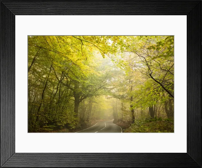 Framed Print : Country road cutting through deciduous autumnal woodland on a misty morning, Limpsfield Chart Framed Print : Country road cutting through deciduous autumnal woodland on a misty morning, Limpsfield Chart
