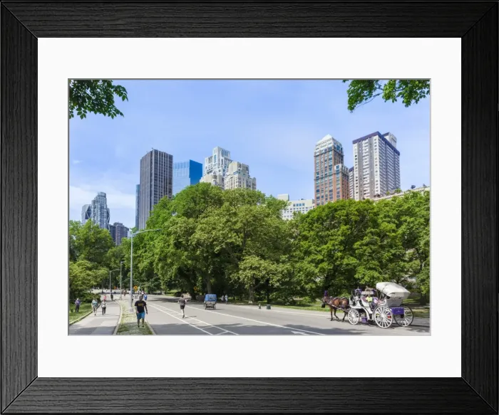Framed Print : Tourists on a carriage ride, West Drive, Central Park, Manhattan skyscrapers, New York skyline Framed Print : Tourists on a carriage ride, West Drive, Central Park, Manhattan skyscrapers, New York skyline