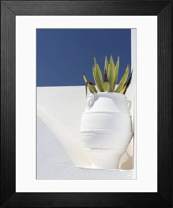 Framed Print : Cacti in whitewashed urn against white wall and blue sky, Imerovigli, Santorini, Cyclades Framed Print : Cacti in whitewashed urn against white wall and blue sky, Imerovigli, Santorini, Cyclades