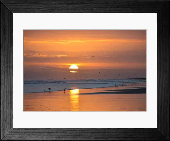 Framed Print : Sunrise from Bamburgh Beach with seagulls in silhouette and suns orange orb, Bamburgh Framed Print : Sunrise from Bamburgh Beach with seagulls in silhouette and suns orange orb, Bamburgh