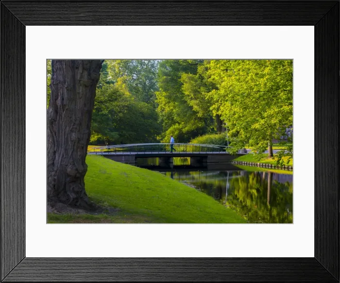 Framed Print : Het Park (The Park), Rotterdam, South Holland, The Netherlands, Europe Framed Print : Het Park (The Park), Rotterdam, South Holland, The Netherlands, Europe