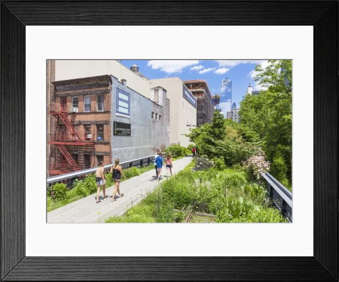 Framed Print : Lower Manhattan tourist attraction, The High Line, urban park, an elevated disused rail line Framed Print : Lower Manhattan tourist attraction, The High Line, urban park, an elevated disused rail line