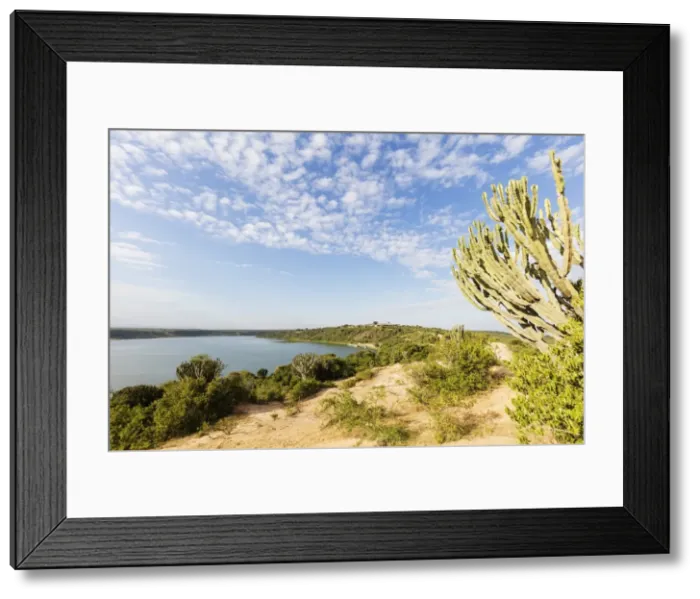Framed Print : Queen Elizabeth National Park, Uganda, Africa Framed Print : Queen Elizabeth National Park, Uganda, Africa