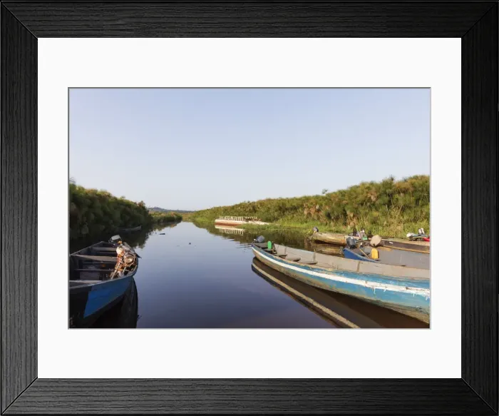 Framed Print : Mabamba swamp, Uganda, Africa