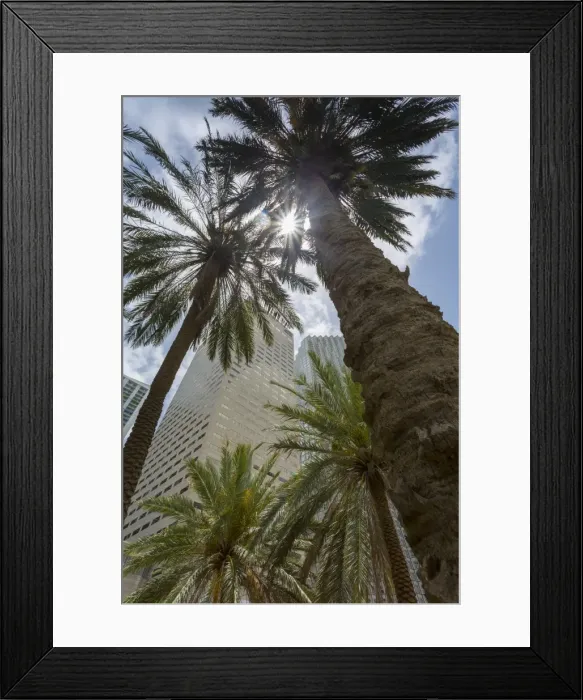 Framed Print : Skyscraper buildings surround Bayfront Park in Downtown Miami, Miami, Florida, United Framed Print : Skyscraper buildings surround Bayfront Park in Downtown Miami, Miami, Florida, United