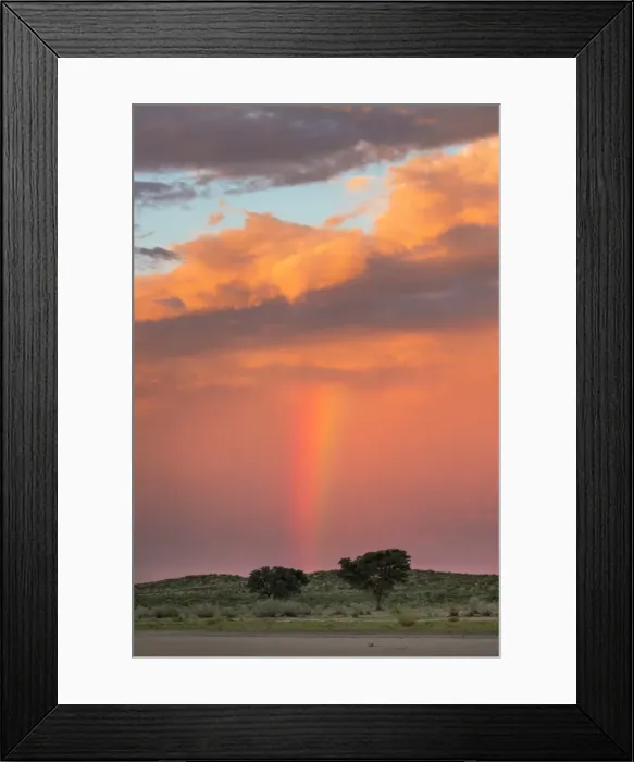 Framed Print : Sunset and storm over Kgalagadi Transfrontier Park, Northern Cape, South Africa, Africa Framed Print : Sunset and storm over Kgalagadi Transfrontier Park, Northern Cape, South Africa, Africa