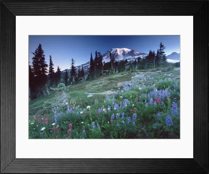 Framed Print : Landscape with wild flowers