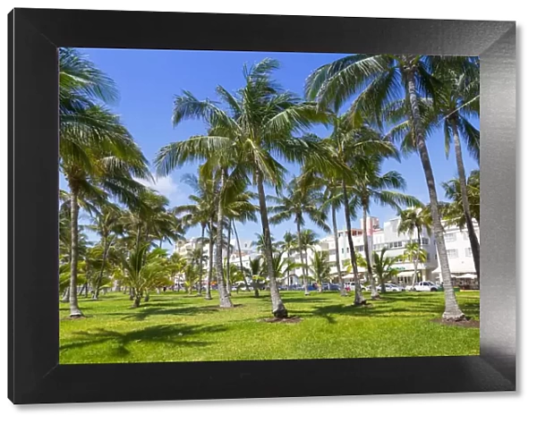 Ocean Drive and Art Deco architecture looking through palm trees, Miami Beach, Miami