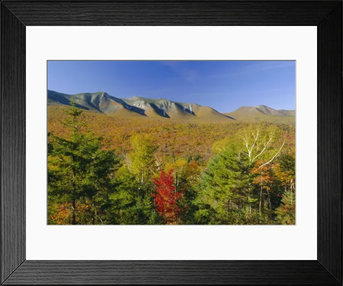 Framed Print : White Mountain National Forest Framed Print : White Mountain National Forest