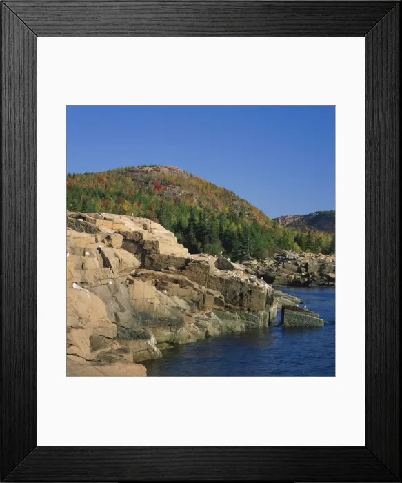 Framed Print : Gulls on rocks along the coastline and fall colours beyond Framed Print : Gulls on rocks along the coastline and fall colours beyond