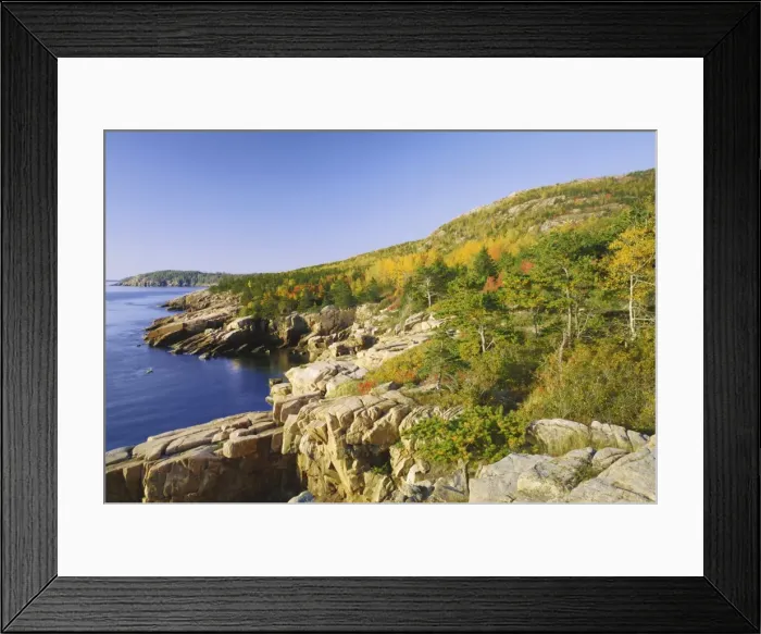 Framed Print : Acadia national park coastline Framed Print : Acadia national park coastline